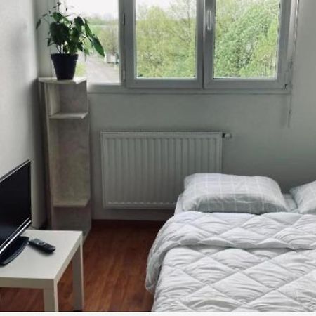 Zenith Strasbourg 2 Chambre Eckbolsheim Kültér fotó